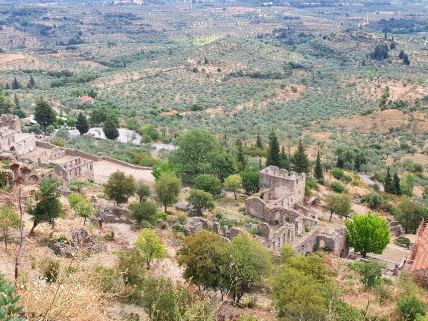 One Day Private Tour to Glory of Ancient Sparta and Mystras - Transportation and Services