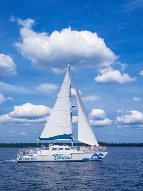 Orange Beach: Sun and Sailing Cruise Aboard Catamaran - Safety and Restrictions