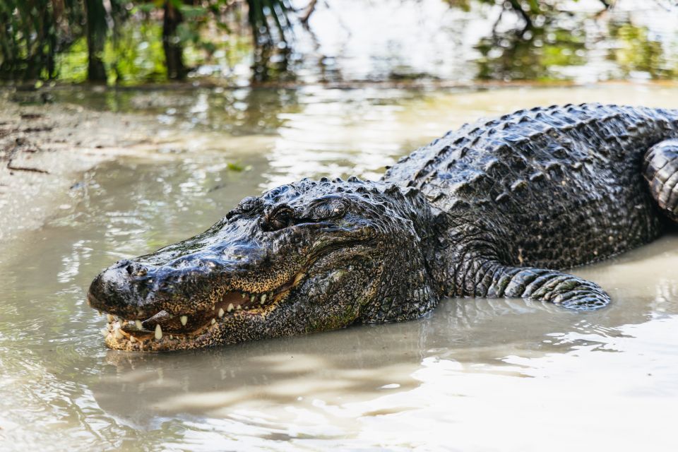 Orlando: Gatorland Skip-the-Line Ticket - Gatorlands Unique Wildlife Encounters