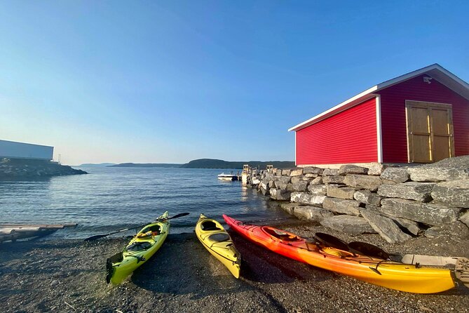 Paddle the Bay of Islands: 2 Hours Guided Kayak Experience - Cancellation and Refund Policy