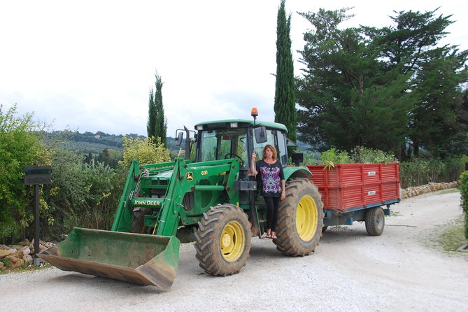 Pienza, Val D'orcia, Montalcino Wine and Pecorino Cheese PRIVATE TOUR From SIENA - Exploring the Val Dorcia