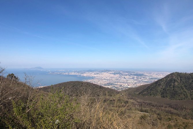 Pompeii-Herculaneum-Vesuvius Tour From Sorrento With Licensed Guide Included - Reviews and Feedback