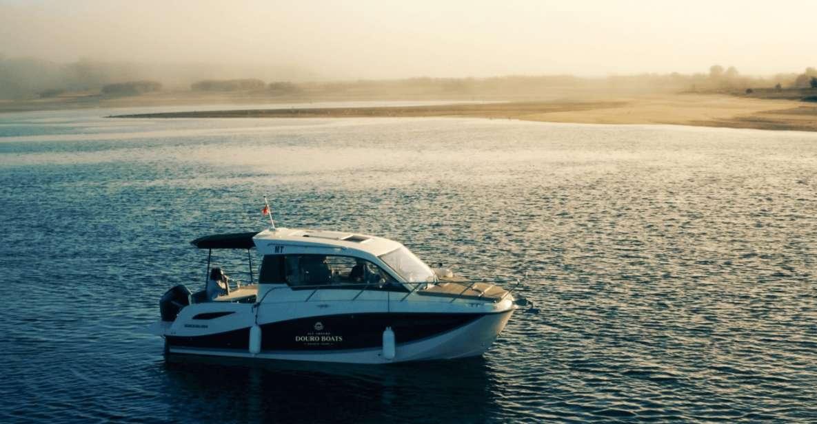 Porto: Private Boat Tour in Douro River - Highlights of the Tour