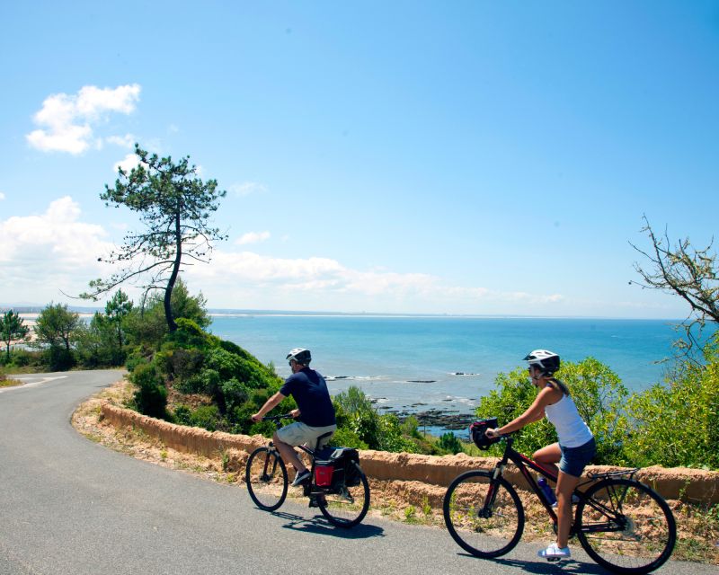 Portugal: Premium Bike Tour Atlantic Coast to Douro Valley - Cycling Highlights