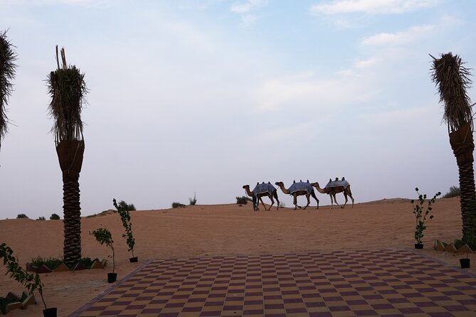 Premium Deluxe Dubai Safari With Camel Ride, Sandboard & BBQ - Camel Riding and Sandboarding Fun