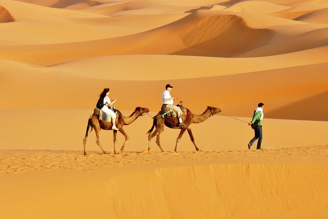 Private 4-Day Desert Tour From Marrakech to Zagora & Merzouga - Positive Guest Reviews and Recognition