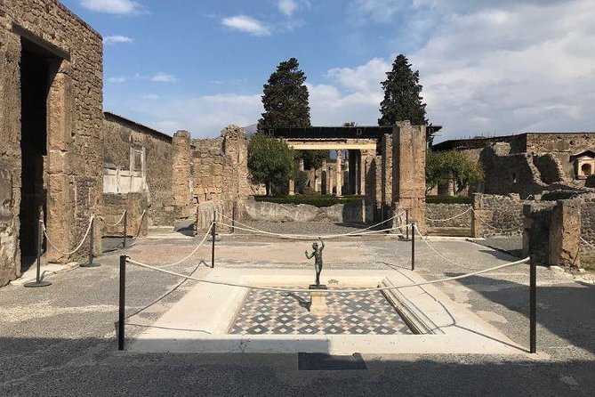 Private Guided Tour. Experience the Everyday Life of the Eternal Town of Pompeii - Accessibility and Participation