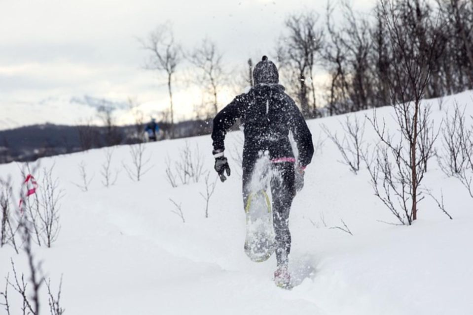 Private Snowshoeing Full Day - Inclusions