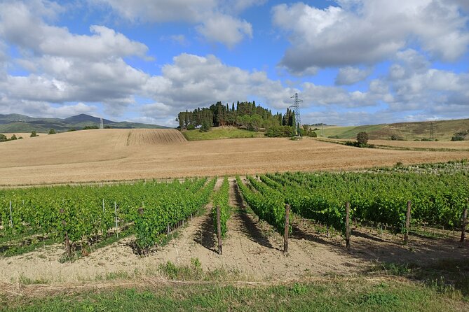 PRIVATE Tour: Chianti Afternoon TOUR With Visit to 2 Wine Farms - Wine and Tasting Experience