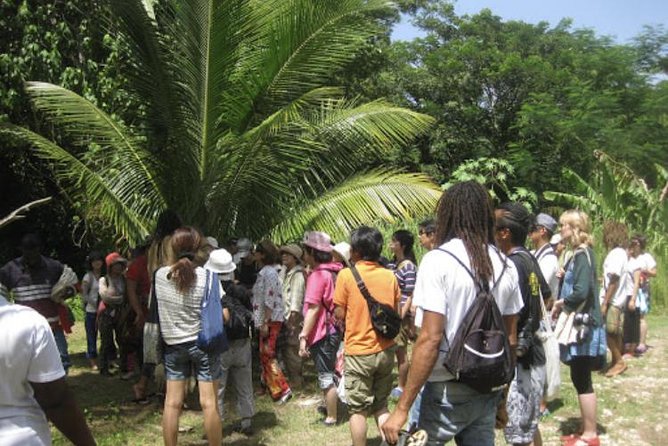 Rastafari Indigenous Village Tour - Drumming and Chanting