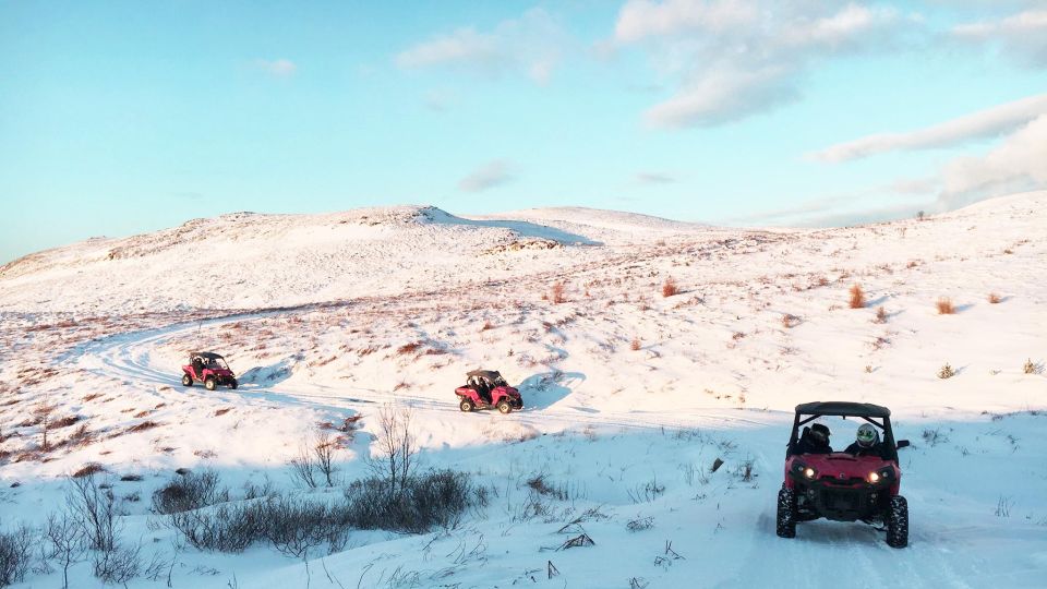 Reykjavik: Buggy Safari Tour With Hotel Transfers - Buggy Adventure Highlights