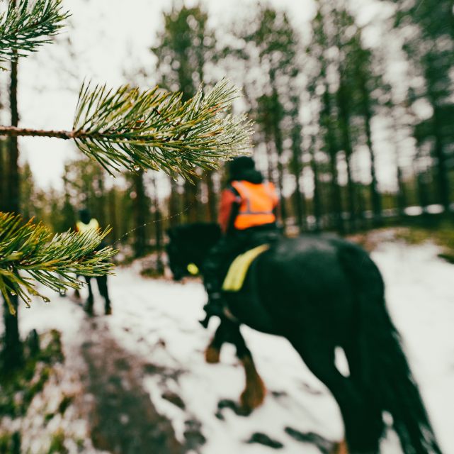 Rovaniemi: Arctic Horse Riding Experience - Highlights of the Ride