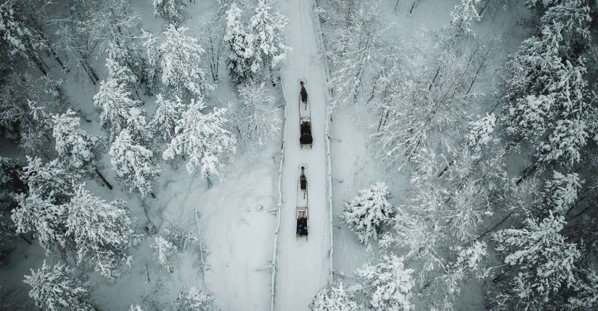 Rovaniemi: Daytime Reindeer Sleigh Ride With Hotel Pickup - Inclusions