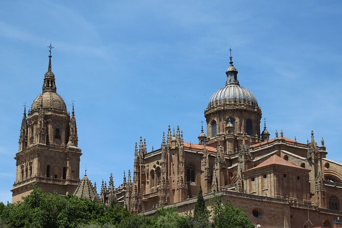 Salamanca Like a Local: Customized Private Tour - Local Insights and Recommendations