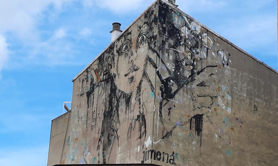 Salamanca: Private Guided Street Art Walking Tour - Experience Highlights