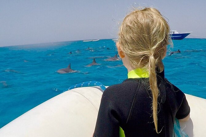 Sataya Dolphin House Snorkel Trip - Marsa Alam - Interacting With Marine Mammals