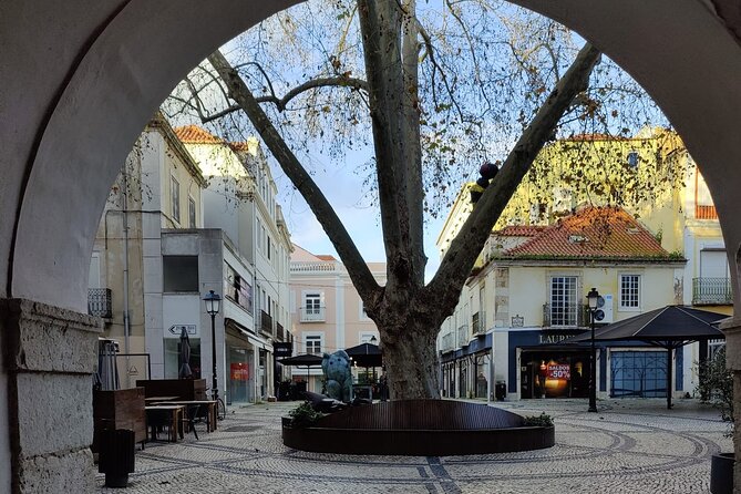 Setúbal: Private Walking Tour - Accessibility