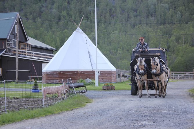 Sleigh Ride W/ Snacks - Experience Arctic Farm Life - Intimate and Personalized Experience