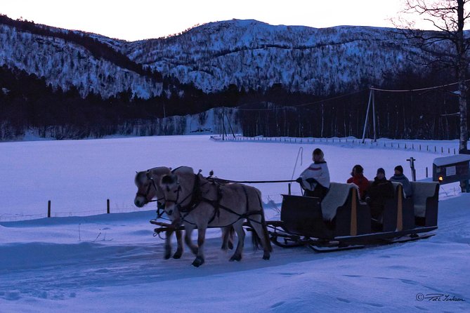 Sleigh Ride W/ Tapas Meal - Experience Arctic Farm Life - Private Transportation and Pickup