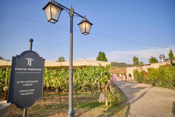 Small-Group Winery Tour With Tasting and Dinner in Chianti Vineyards - Meeting and Logistics