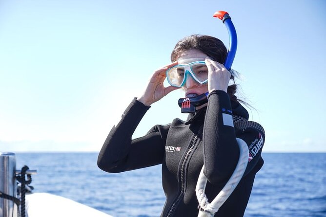 Snorkelling Trip at Ponta De São Lourenço Protected Area - Meeting Point and Pickup