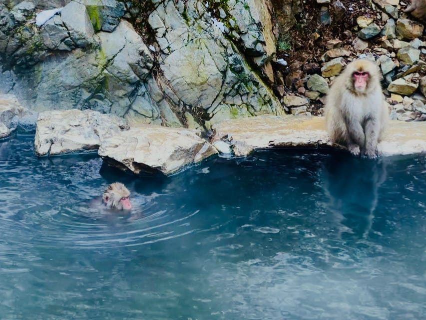 Snow Monkey Park Day Tour Pick-up and Drop-off From Nagano - Inclusions and Exclusions