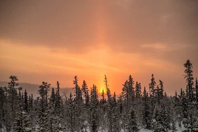 Snowshoe Winter Hike From Stockholm - Lunch and Swedish Fika