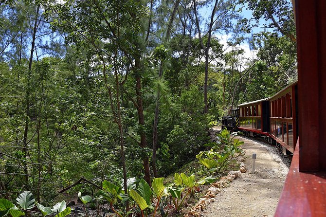 St.Nicholas Abbey Heritage Railway - Accessibility and Accommodations