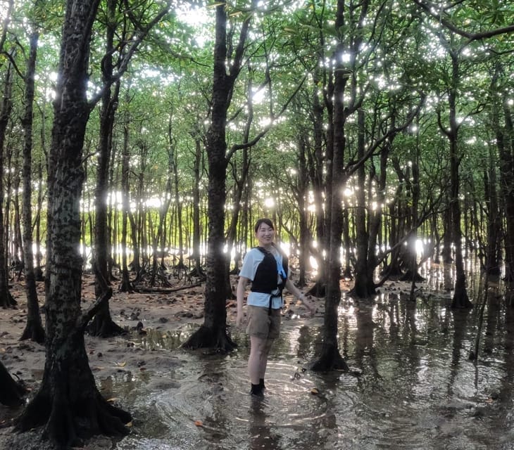 Stand Up Paddleboard: Amazing Sunrise at Mangrove River - Inclusions