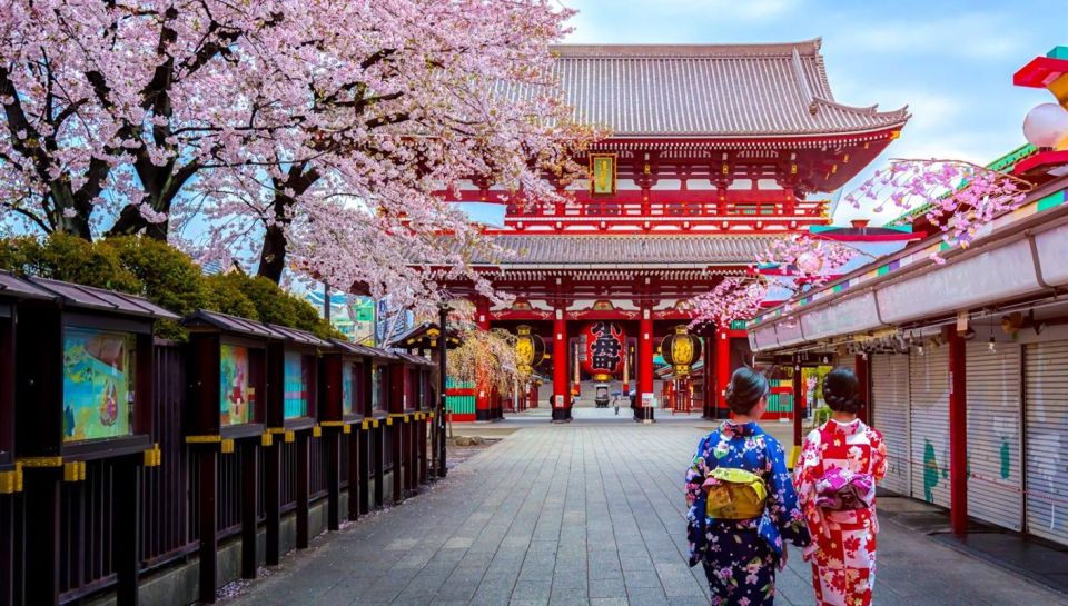 Tokyo: Full Day Private Walking Tour With a Guide - Cancellation Policy