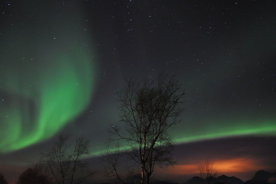 Tromsø: Northern Lights Husky Visit With Traditional Dinner - Inclusions