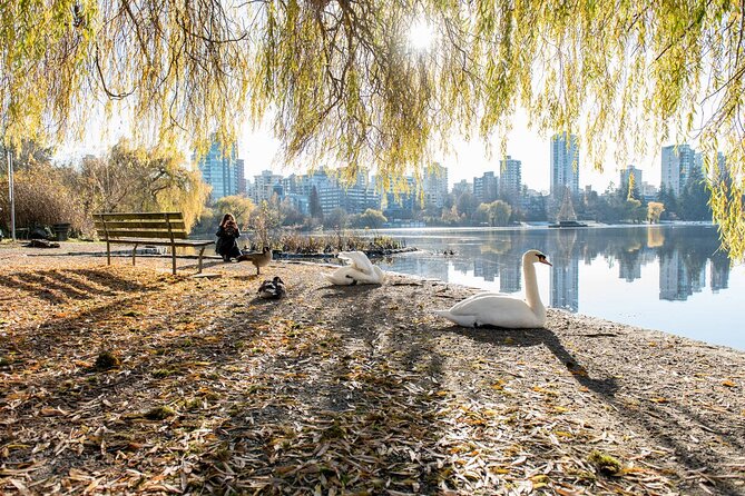 Vancouver Bike Tour - Stanley Park & the World-Famous Seawall - Discovering the Seawall Route