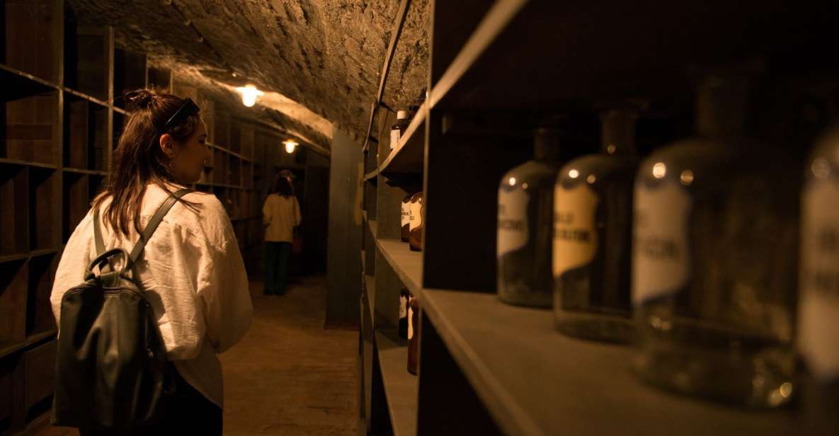 Vienna: Historical Pharmacy Cellar Guided Tour - Discovering the Ancient Medicine Cellar