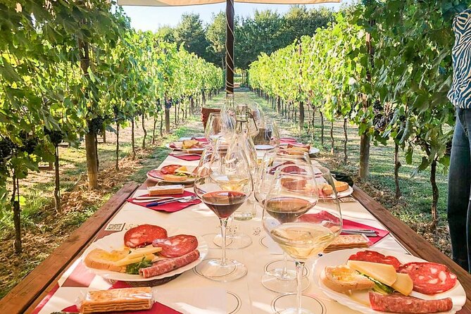 VIP Wine Experience Montalcino & Montepulciano With Lunch - Tour Details