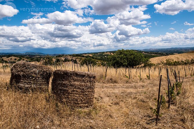 Visit to an Organic Farm and Tasting of Natural Wines - Cancellation Policy