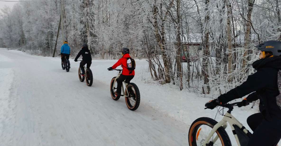 Winter Fatbiking in Ivalo - Tour Description