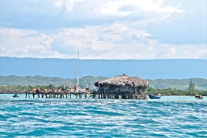 YS Falls and the Pelican Bar Adventure Tour From Kingston - Tour Details