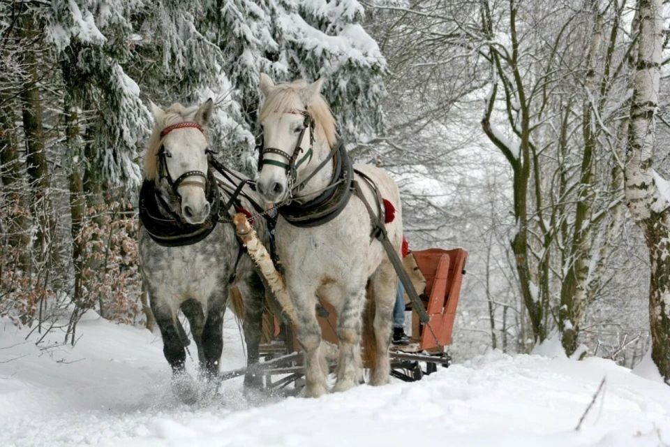 Zakopane: Sleigh Ride With Transfers and Lunch Option - Itinerary Details