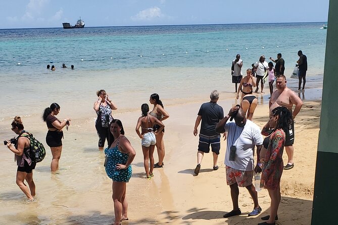 Zipline and Dunns River Falls Combo With Lunch From Montego Bay - Health and Safety Guidelines