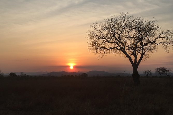 2 Days 1 Night Mikumi National Park - Wildlife and Habitat in Mikumi