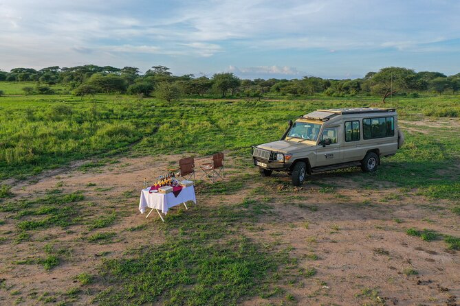 3-Day Classic Serengeti Safari - Private Transportation and Experienced Guide