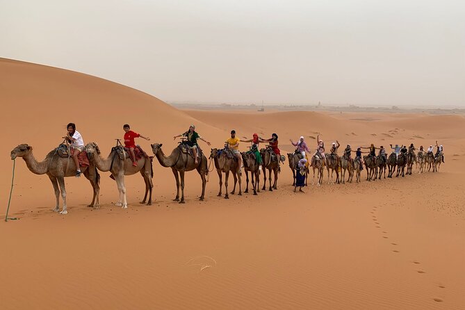 3 Days Desert Tour From Marrakech to Merzouga - Trekking Through Todra Gorge