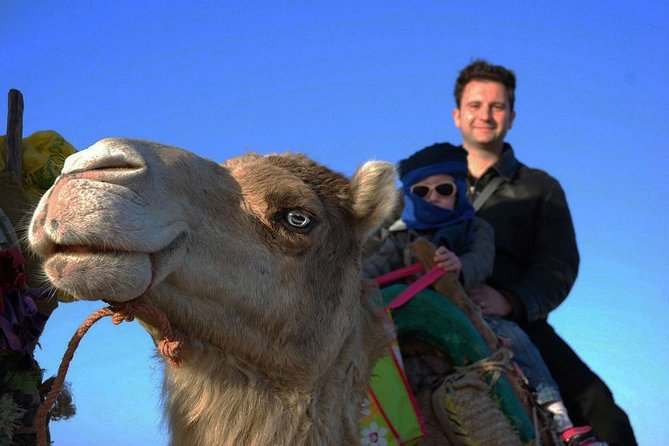 3 Hours Ride on Camel at Sunset - Reviews