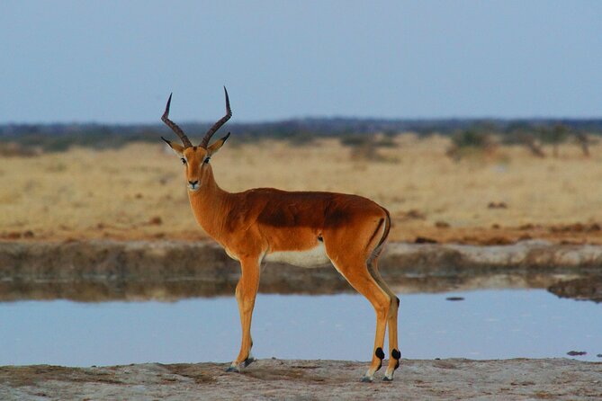 4 Days Tanzania Budget Group Join Safari- Serengeti & Ngorongoro - Booking Information