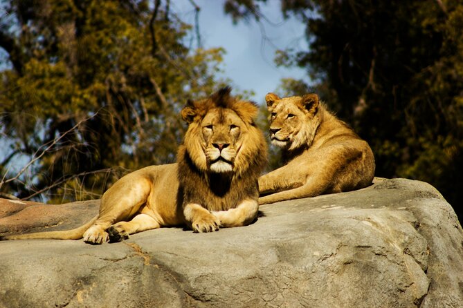 6 Hours Nairobi National Park and Giraffe Center Tour - About Nairobi National Park