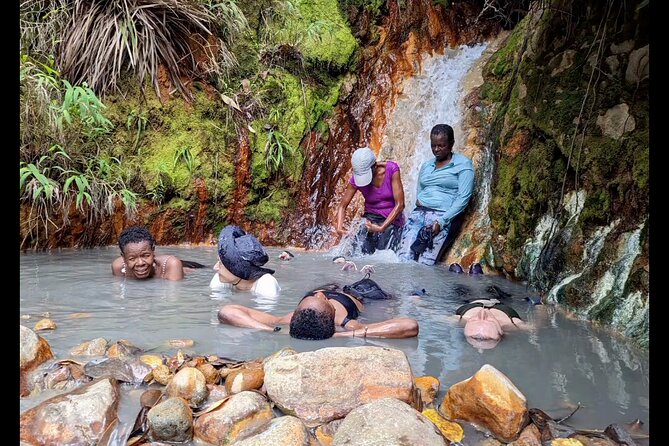 7 Hours Wildlife Discovery Tour in Dominica - Booking and Availability