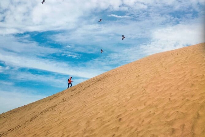 Agadir Desert Safari Day Tour With Lunch - Accessibility and Group Size