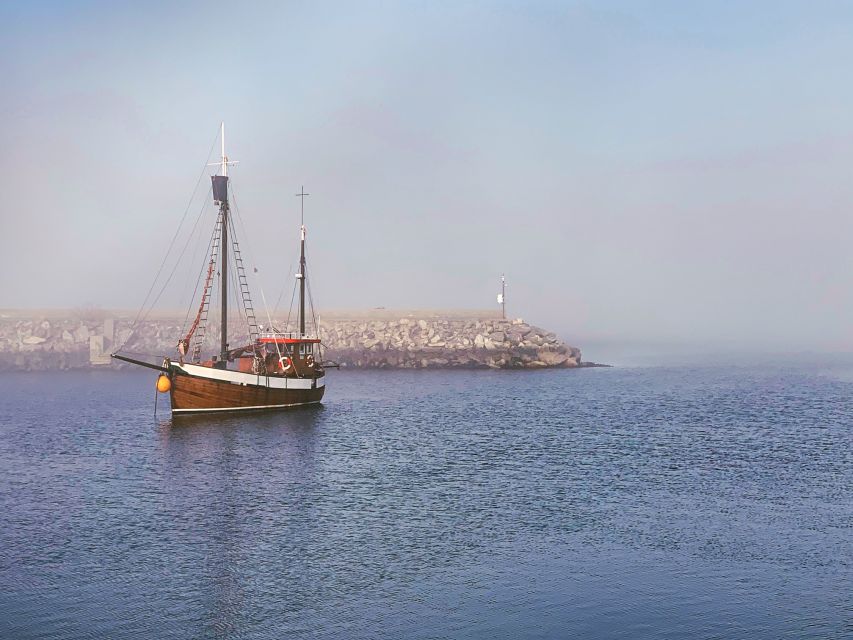 Alesund: Private Tour to the Viking Islands - Pricing and Booking