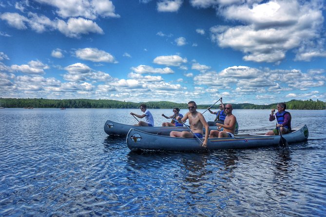 Algonquin Provincial Park Day Tour From Toronto - Activity Options