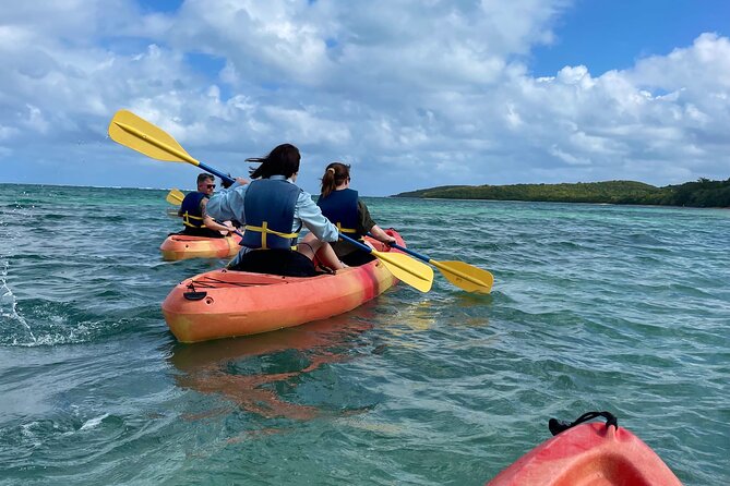 All Day Kayak Rental in Puerto Rico - Stunning Natural Reserve